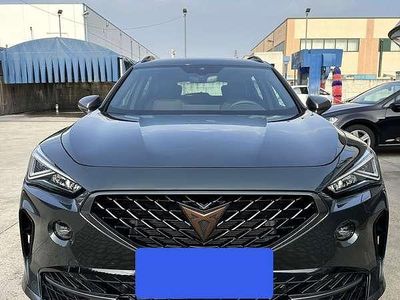 Usata Cupra Formentor 150 CV (110 kW) 2022 Verde SUV
