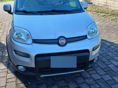 Usata Fiat Panda 4x4 75 CV (55 kW) 2015 Grigio Utilitaria