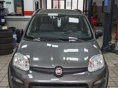 Usata Fiat Panda Sport 69 CV (50 kW) 2022 Utilitaria