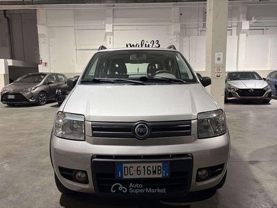 Usata Fiat Panda 4x4 60 CV (44 kW) 2006 Argento Utilitaria
