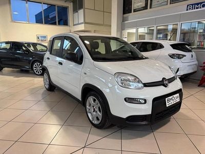 Usata Fiat Panda S 70 CV (51 kW) 2024 Bianco Utilitaria