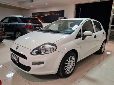 usata Fiat Punto 1.3 MJT II S&S 95 CV 5p. Autocarro N1