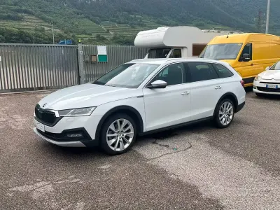 Usata Skoda Octavia Scout 4x4 150 CV (110 kW) 2023 Bianco Station wagon