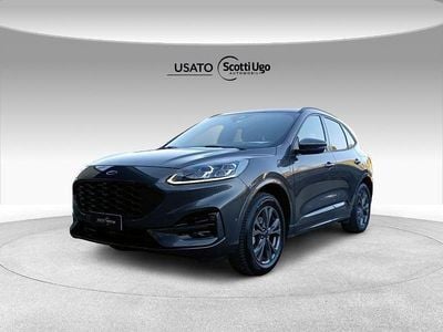 Usata Ford Kuga ST-Line X 224 CV (164 kW) 2023 Grigio SUV