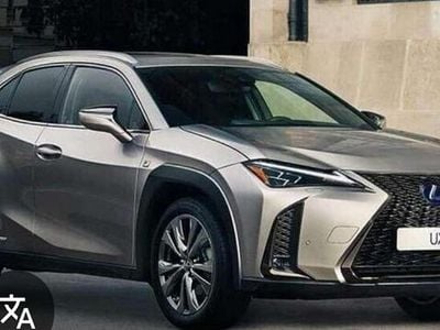 Usata Lexus UX 250h Business Edition 145 CV (106 kW) 2020 Grigio SUV