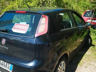 Usata Fiat Punto 75 CV (55 kW) 2015 Utilitaria