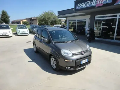 Usata Fiat Panda S 69 CV (50 kW) 2022 Grigio Utilitaria