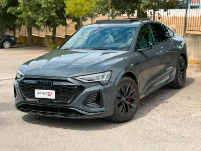 Usata Audi Q8 e-tron