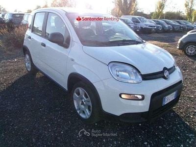 Usata Fiat Panda S 69 CV (50 kW) 2023 Bianco pastello Utilitaria