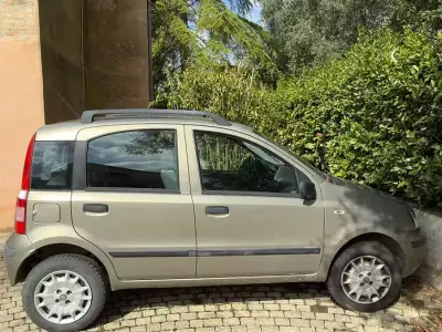 Usata Fiat Panda 77 CV (56 kW) 2008 Utilitaria