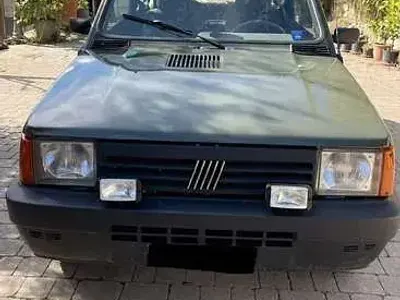 Usata Fiat Panda 4x4 Trekking 50 CV (36 kW) 2002 Utilitaria