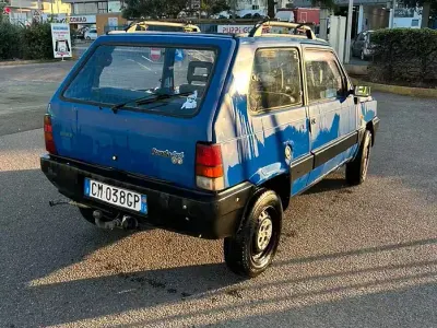 Usata Fiat Panda 4x4 50 CV (36 kW) 2004 Bluazzurro Utilitaria