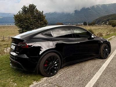 Usata Tesla Model Y Performance 400 kW (544 CV) 2022 SUV