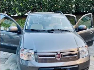 Usata Fiat Panda 4x4 Climbing 69 CV (50 kW) 2011 Grigio Utilitaria