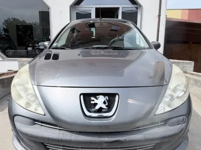 Usata Peugeot 206