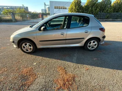 Usata Peugeot 206 75 CV (55 kW) 2004 Grigio Utilitaria
