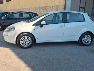 Usata Fiat Punto Lounge 95 CV (69 kW) 2012 Bianco Utilitaria