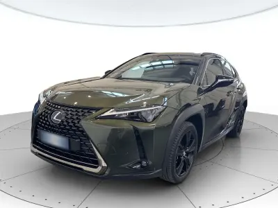 Usata Lexus UX 250h