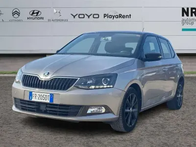 Usata Skoda Fabia
