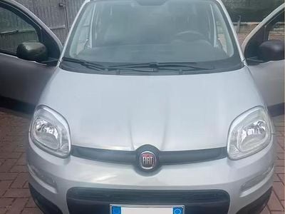 Usata Fiat Panda 69 CV (50 kW) 2019 Grigio Utilitaria