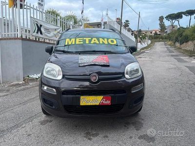 Marrone Usata 2013 Fiat Panda Lounge Berlina | 3700 € (Ottimo prezzo)