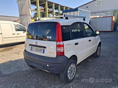 Usata Fiat Panda 4x4 2010 Bianco Utilitaria