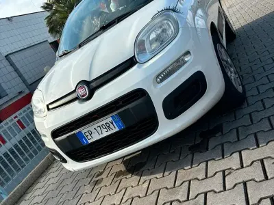 Usata Fiat Panda 60 CV (44 kW) 2013 Bianco Utilitaria