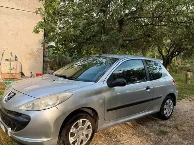 Usata Peugeot 206