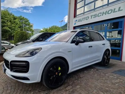 Occasion Porsche Cayenne Platinum Edition 340 ch (250 kW) 2023 Blanc SUV