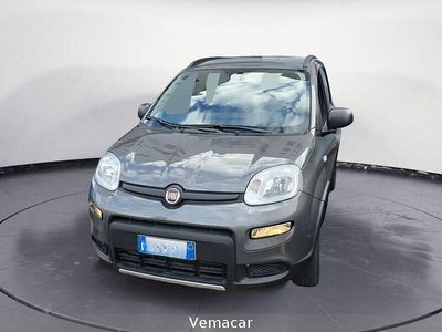 Usata Fiat Panda 4x4 86 CV (63 kW) 2020 Grigio Utilitaria