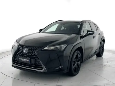 Usata Lexus UX 250h