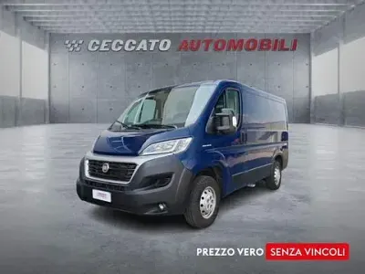 Usata Fiat Ducato 116 CV (85 kW) 2019 Blu Furgone