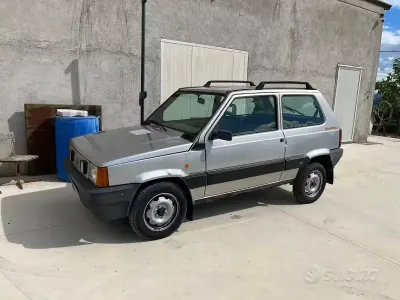 Usata Fiat Panda 4x4 54 CV (39 kW) 2000 Grigio Utilitaria
