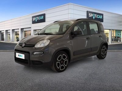 usata Fiat Panda 1.0 FireFly 70cv S&S Hybrid City Life City Lif