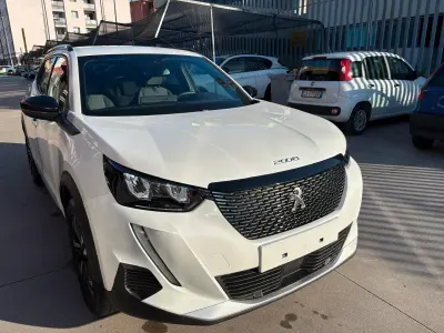 Brugt Peugeot 2008