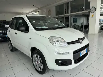 Usata Fiat Panda Easy 84 CV (61 kW) 2020 Grigio Utilitaria