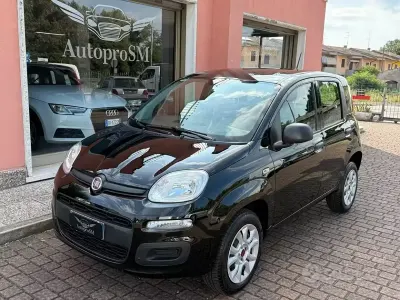 Usata Fiat Panda Easy 69 CV (50 kW) 2020 Nero Utilitaria