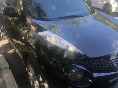 Usata Nissan Juke 110 CV (80 kW) 2011 Nero SUV