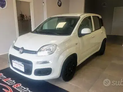 Usata Fiat Panda Easy 69 CV (50 kW) 2014 Bianco Utilitaria