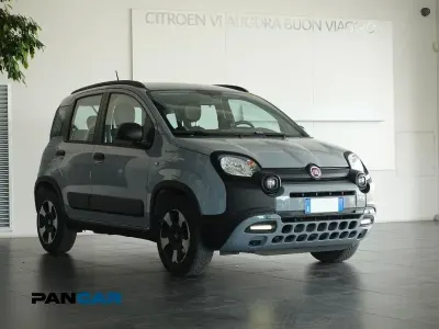 Usata Fiat Panda Cross Cross 69 CV (50 kW) 2020 Grigio Utilitaria