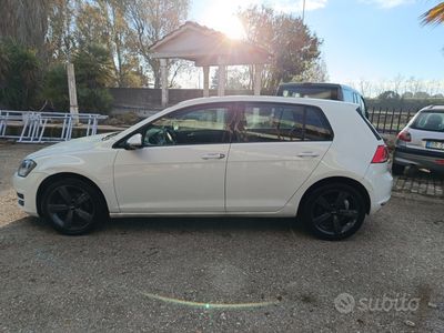 usata VW Golf VII TDI 1.6 110cv