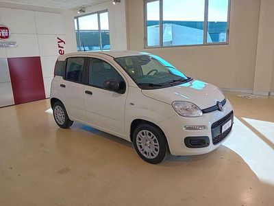 Nuova Fiat Panda S 69 CV (50 kW) 2025 Bianco pastello Utilitaria