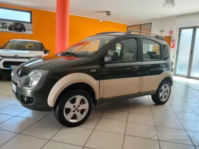 Usata Fiat Panda 4x4 69 CV (50 kW) 2006 Verde Utilitaria