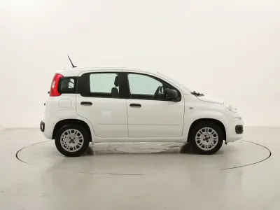 Usata Fiat Panda Easy 69 CV (50 kW) 2020 Biancobianco Utilitaria
