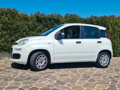Usata Fiat Panda 75 CV (55 kW) 2017 Bianco Utilitaria