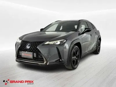 Usata Lexus UX Luxury Line 152 CV (111 kW) 2021 Grigio SUV