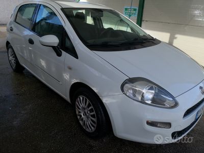 usata Fiat Punto Punto 1.3 Multijet 16V 5 porte Dynamic