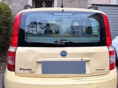 Usata Fiat Panda 4x4