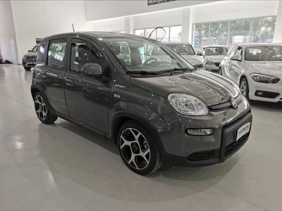 usata Fiat Panda 3ª serie 1.0 FireFly S&S Hybrid Sport