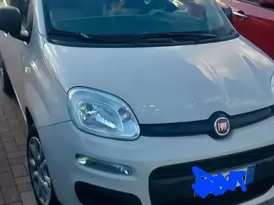 Usata Fiat Panda 85 CV (62 kW) 2015 Utilitaria